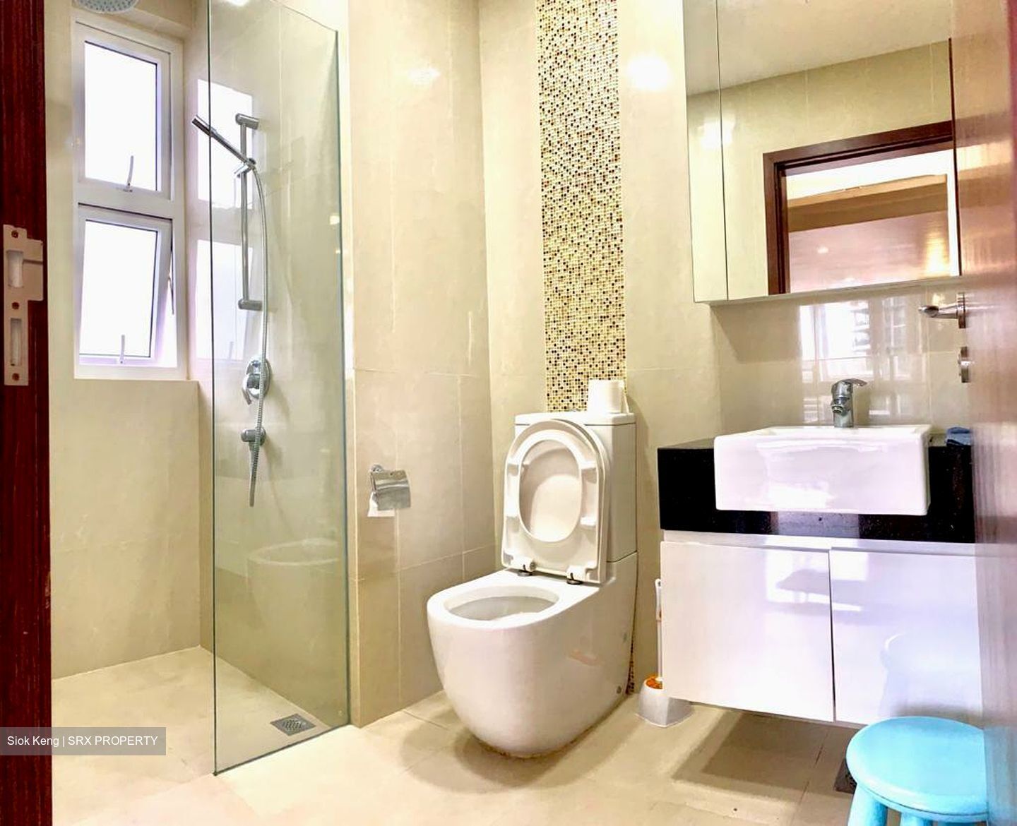 8 Bassein (D11), Apartment #432846651